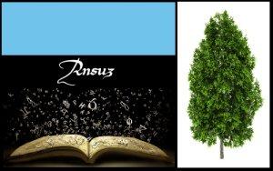 Ansuz (ELEMIAH VOYANCE 08 99 96 90 99)