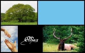 Elhaz (ELEMIAH VOYANCE 08 99 96 90 99)