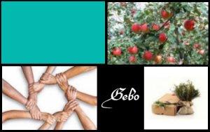 Gebo (ELEMIAH VOYANCE 08 99 96 90 99)