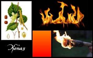 Kenaz (ELEMIAH VOYANCE 08 99 96 90 99)