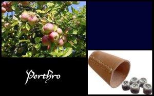 Perthro (ELEMIAH VOYANCE 08 99 96 90 99)