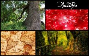 Raidho (ELEMIAH VOYANCE 08 99 96 90 99)