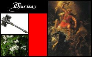 Thurisaz (ELEMIAH VOYANCE 08 99 96 90 99)