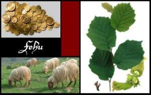 Fehu (ELEMIAH VOYANCE 08 99 96 90 99)