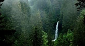 La voyance et votre coaching en amour